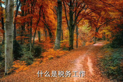 什么是稅務(wù)人員，稅務(wù)專員是一種什么工作和會計有什么不同和會計一樣也分從