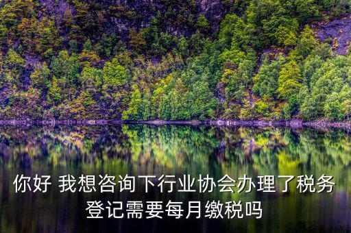 你好 我想咨詢(xún)下行業(yè)協(xié)會(huì)辦理了稅務(wù)登記需要每月繳稅嗎