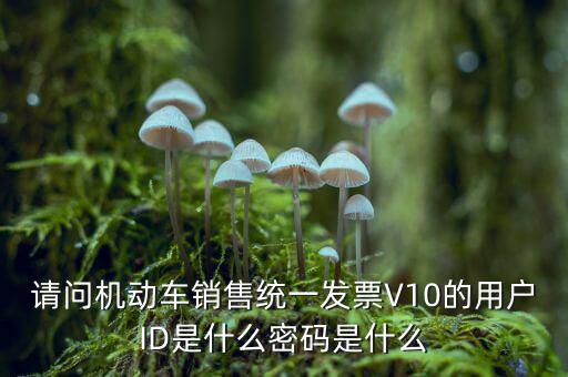 發(fā)票登錄密碼是什么，國稅局發(fā)票軟件里用戶代碼和密碼是什么