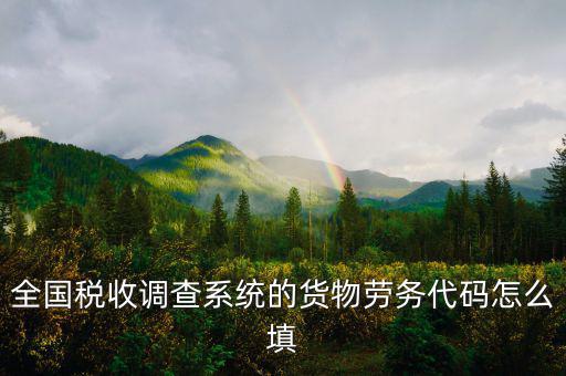 商品和勞務編碼是什么，貨物勞務代碼如何填