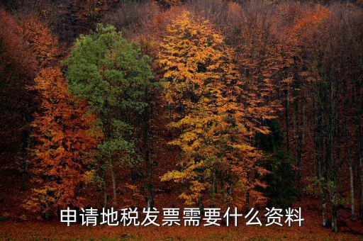地稅局開(kāi)票需要帶什么，申請(qǐng)地稅發(fā)票需要什么資料