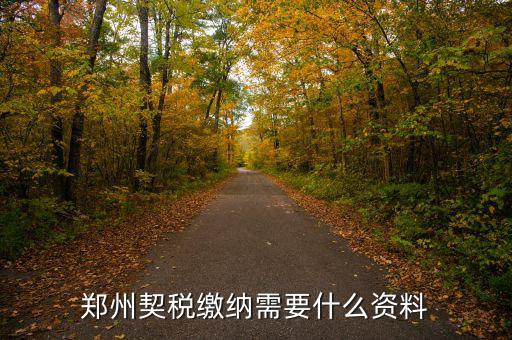 鄭州報(bào)稅用什么資料，鄭州國(guó)稅網(wǎng)上申報(bào)問(wèn)題