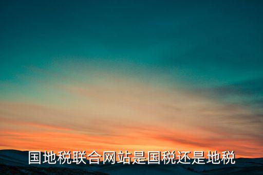 國地稅聯(lián)合辦稅是什么意思，國地稅聯(lián)合稅費申報什么意思