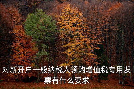 對(duì)新開(kāi)戶一般納稅人領(lǐng)購(gòu)增值稅專用發(fā)票有什么要求