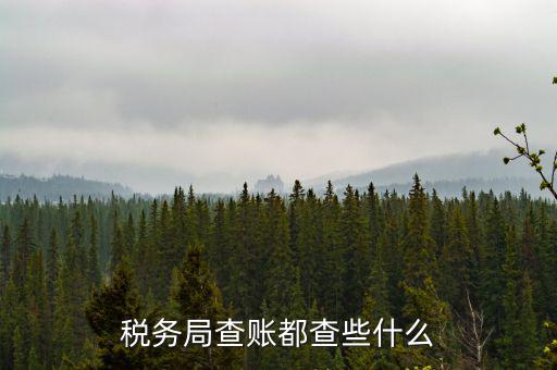 稅務(wù)局查稅一般查什么，請問一下老師一般稅務(wù)局人來查帳一般查什么的
