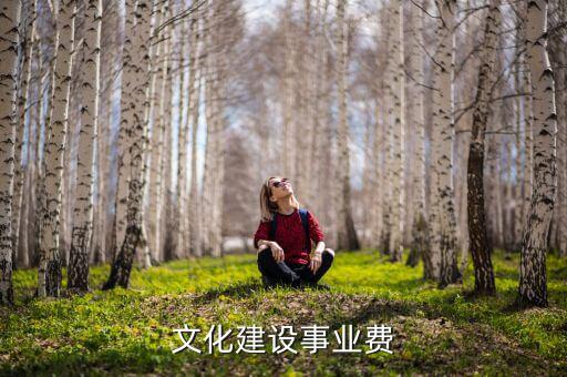 什么是文化事業(yè)建設稅，文化建設事業(yè)費