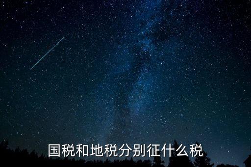 國稅地稅分別報(bào)什么稅，國稅和地稅局分別要交哪些稅和報(bào)表