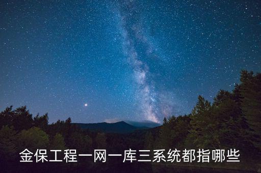 什么是金三系統(tǒng)，會(huì)計(jì)證外借給公司掛靠什么也沒(méi)做就被金三系統(tǒng)監(jiān)控了