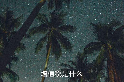 增值稅增值部分是什么，財務(wù)上增值部份是指什么如進項發(fā)票為10萬銷項發(fā)票為30萬兩項