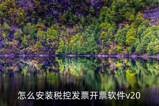 怎么安裝稅控發(fā)票開(kāi)票軟件v20