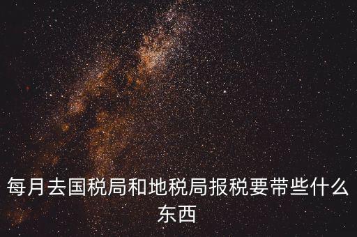 國稅大廳報稅需要什么，你好請教你一下如果我去國稅大廳報稅的話都需要帶什么東西填