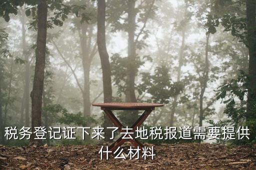 去地稅局報(bào)道需要什么手續(xù)，稅務(wù)登記證下來了去地稅報(bào)道需要提供什么材料
