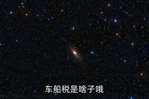 保險(xiǎn)的車(chē)船稅是什么，車(chē)船稅是啥子哦