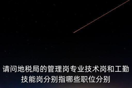 地稅局工勤是什么，地稅局正式干部是什么意思