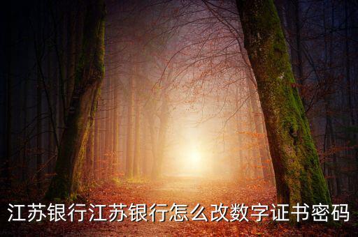 江蘇銀行江蘇銀行怎么改數字證書密碼