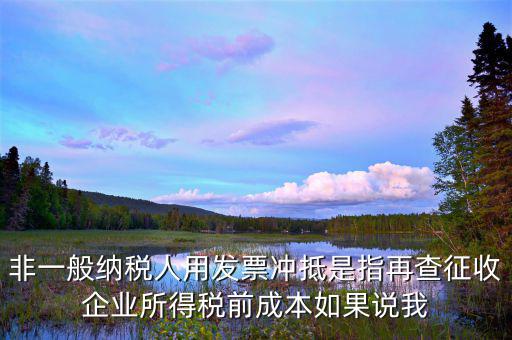 什么是非一般納稅人，非一般納稅人用發(fā)票沖抵是指再查征收企業(yè)所得稅前成本如果說我