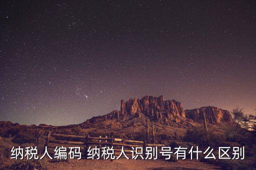 納稅人的識別號是什么意思，納稅人識別號是什么
