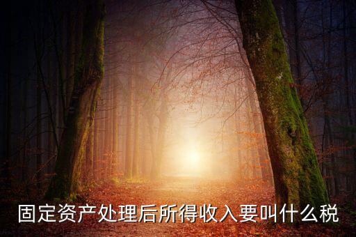 什么叫做試點納稅人，固定資產(chǎn)處理后所得收入要叫什么稅