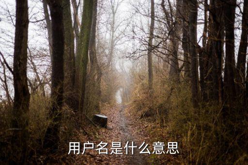個稅用戶名是指什么意思，用戶名是什么意思