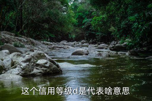 納稅信用d級是什么情況，企業(yè)被稅務(wù)局認(rèn)定為d級什么概念