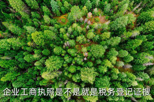 什么是工商稅務登記證，什么是稅務證
