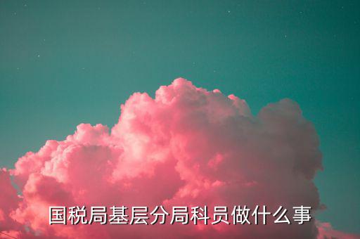 國稅局文秘主要干什么，國稅局基層分局科員做什么事