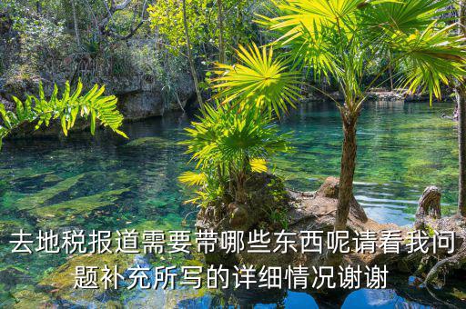 去地稅報(bào)道需要帶哪些東西呢請(qǐng)看我問(wèn)題補(bǔ)充所寫的詳細(xì)情況謝謝