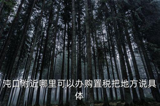漢陽稅務(wù)局什么車，沌口附近哪里可以辦購置稅把地方說具體
