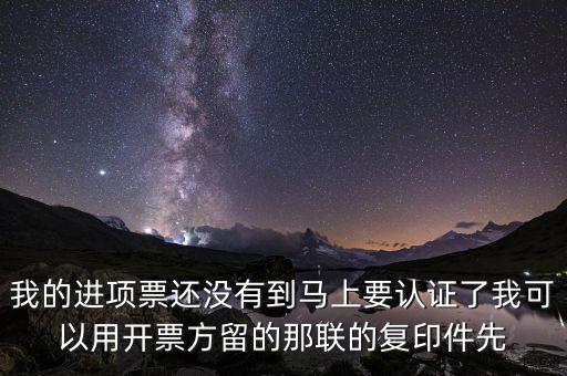 納稅清單驗(yàn)證碼是什么，我的進(jìn)項(xiàng)票還沒有到馬上要認(rèn)證了我可以用開票方留的那聯(lián)的復(fù)印件先