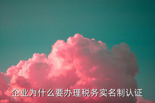為什么辦稅實(shí)名制，國(guó)家稅務(wù)實(shí)行實(shí)名制是為了什么