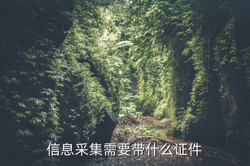 實名信息采集帶什么東西，去銀行辦理對公信息采集表需要帶哪些東西