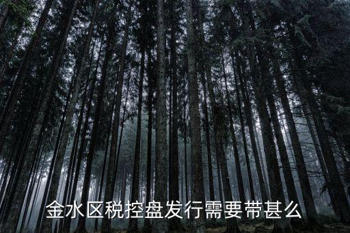 稅盤發(fā)行要帶什么資料，去國稅局辦發(fā)行需要什么資料