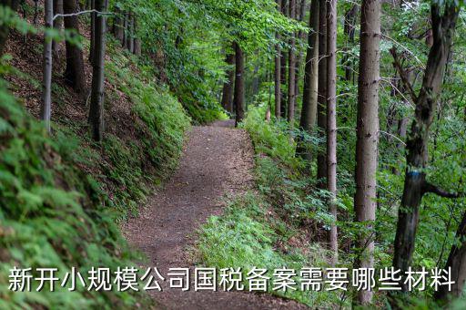 國稅備案需要什么材料，新開小規(guī)模公司國稅備案需要哪些材料