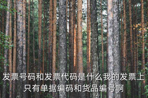 發(fā)票代碼和發(fā)票號碼是什么，發(fā)票代碼和發(fā)票號碼有什么用