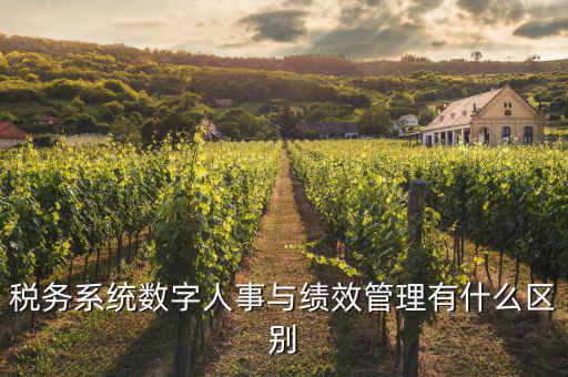 什么是稅務(wù)績效管理工作亮點，績效管理是什么
