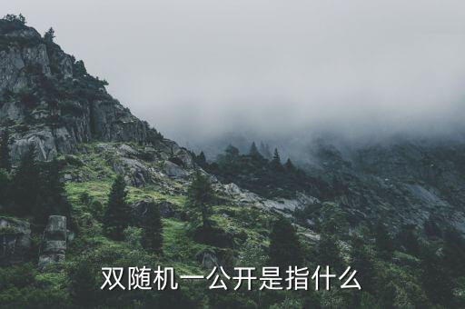 稽查 雙隨機是什么，雙隨機一公開是指什么