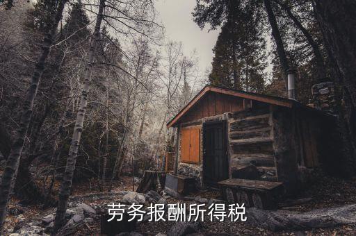 什么是勞動報酬稅，勞務稅是什么