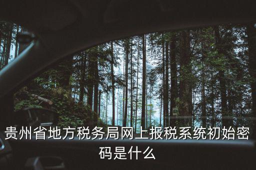 黑龍江電子稅務(wù)是什么，貴州省地方稅務(wù)局網(wǎng)上報(bào)稅系統(tǒng)初始密碼是什么