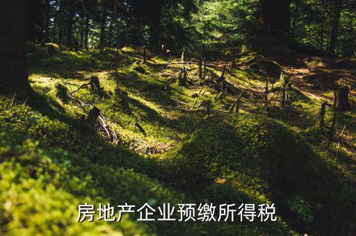 房地產(chǎn)預(yù)繳是什么意思，房價預(yù)交1萬抵2萬是什么意思
