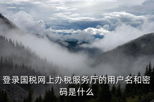 電子稅務局登陸用戶名是什么，登錄國稅網上辦稅服務廳的用戶名和密碼是什么