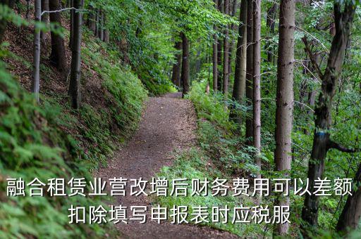 應稅服務扣除項目清單干什么用，應稅服務扣除項目清單中允許扣除項目金額指的是什么是總