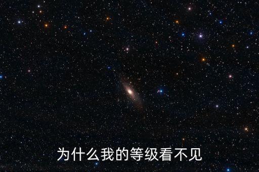 為什么無法查詢到納稅等級(jí)，為什么我的等級(jí)看不見