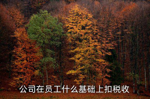 什么是稅收基礎(chǔ)工作，問個問題稅務(wù)基本建設(shè) 是個什么崗位