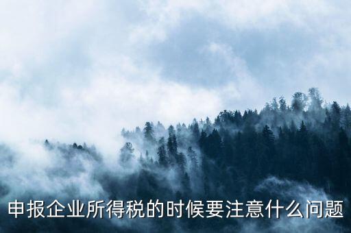 年度企業(yè)所得稅申報(bào)注意什么，申報(bào)企業(yè)所得稅的時(shí)候要注意什么問題