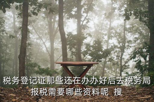 新辦企業(yè)稅務(wù)局需要什么資料，稅務(wù)登記證那些還在辦辦好后去稅務(wù)局報(bào)稅需要哪些資料呢  搜