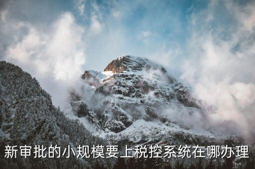 什么是小規(guī)模稅控升級(jí)，新審批的小規(guī)模要上稅控系統(tǒng)在哪辦理