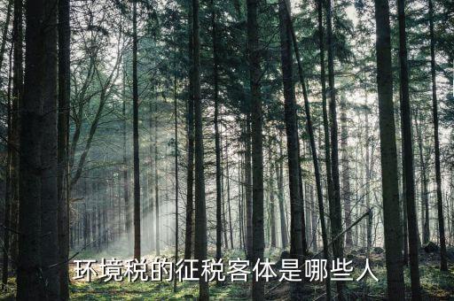 環(huán)保稅納稅人的什么意思，環(huán)境稅是什么意思