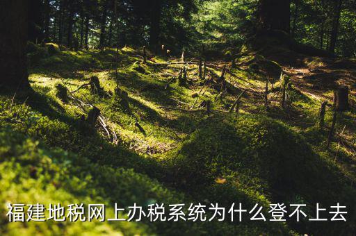 企業(yè)所得稅系統(tǒng)為什么登不上，福建地稅網(wǎng)上辦稅系統(tǒng)為什么登不上去