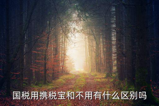 稅寶是什么，國稅用攜稅寶和不用有什么區(qū)別嗎