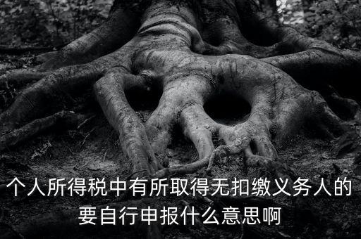 什么叫自行申報，個人所得稅中有所取得無扣繳義務(wù)人的要自行申報什么意思啊